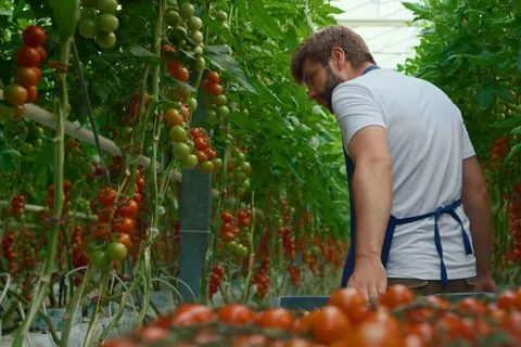 Agri-Food Pilot